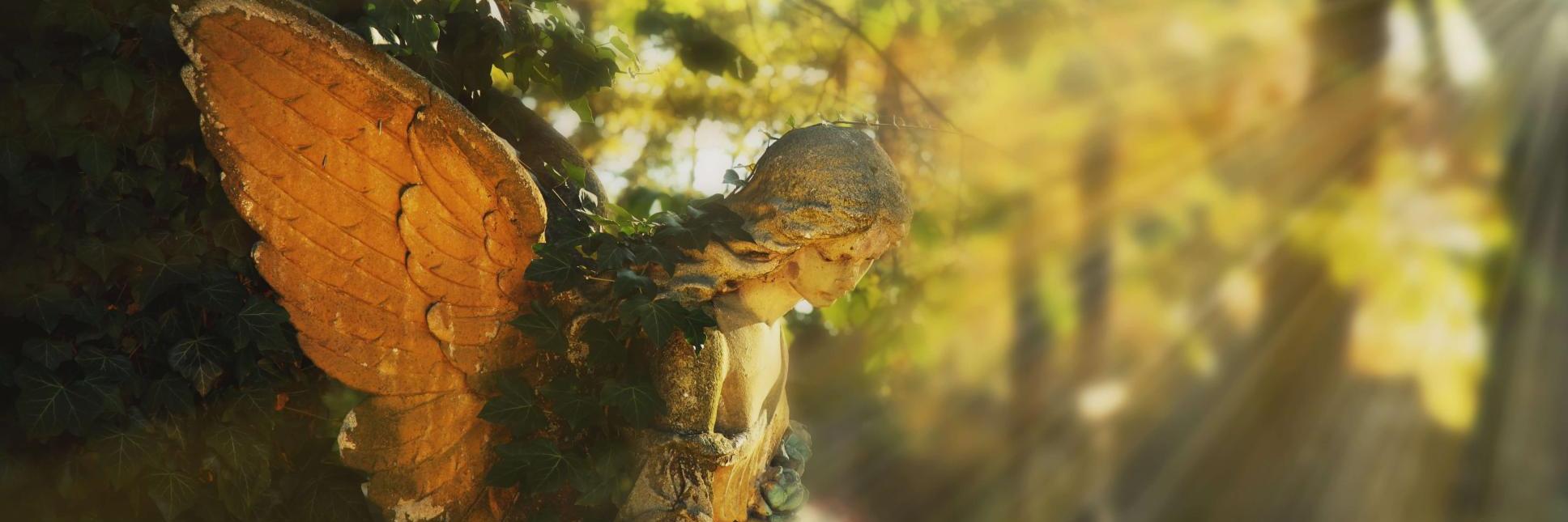 Grabengel, Blick nach unten, sonnige freundliche Athmosphäre