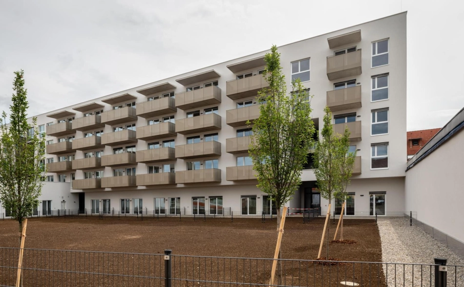 Außenansicht der Wohnanlage mit Balkonen und neu gepflanzten Bäumen, Karlauerstraße.